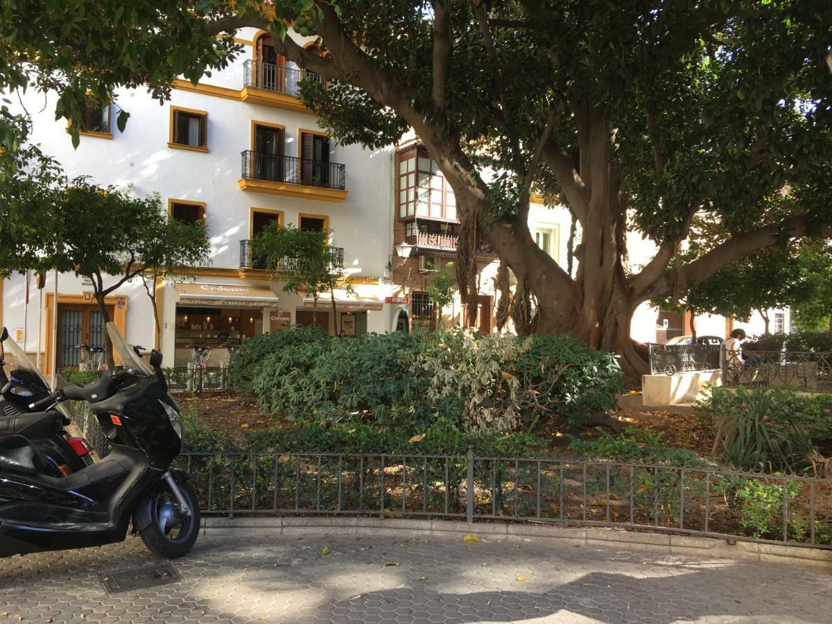 Apartamento En El Centro Sevilla Dış mekan fotoğraf